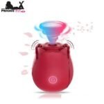 Big Shocked Sex Toys Rose Sex Toy Vibrator In Pakistan