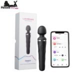 Double Ended 2 In 1 Wand Vibrator In Pakistan