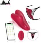 Wearable Panty Vibrators Adult Sex Toys