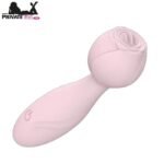 Blushing Pleasure Mini Rose Vibrator In Pakistan