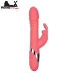Enchanted Exciter Rabbit Vibrator In Pakistan