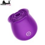 Personal Rose Massager In Pakistan