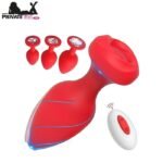 Remote Control Butt Plug Set Toys 4PCS In Pakistan