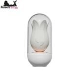 Rose Petal Nipple Licking Vibrator In Pakistan